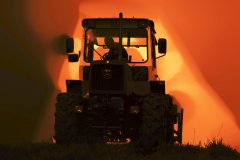 MB-Truck1.jpg